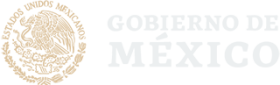 LogoGobMexOpt